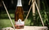 Degustacija vrhunskih vina uz kraški pršut i sir za četiri osobe