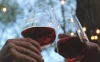 Restaurant 1906 – Tasting of two wines and a snack