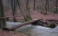 Tourist farm Pri Lazarju – Overnight stay with half board in the countryside near Ljubljana