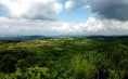 Okrepčevalnica Truške - Pokušina istrskih dobrot s pogledom na Tržaški zaliv