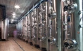 Rodica wine cellar - Tasting of 6 types of wine or 5 bottles