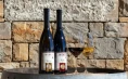 Rodica wine cellar - Tasting of 6 types of wine or 5 bottles