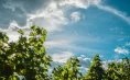 Vina Poljšak - Degustacija 10 vrsta vina uz tanjur pršuta i sira za 2 osobe