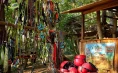 Adrenaline Park Medulin – velik poligon, še večji zipline in velikanska gugalnica