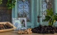 Karlić Tartufi – presentation, education and truffle hunting for 4 people