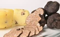 Karlić Tartufi – presentation, education and truffle hunting for 4 people