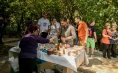 Pobjegnite od gradske gužve u Nacionalni park Krka
