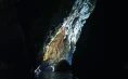 Water tour to the Blue Cave and 6 islands