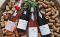 Wine tasting in the Zlati Grič wine cellar