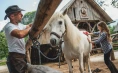 Mrcina Ranch - anderthalb Stunden Reiten