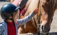 Mrcina Ranch - anderthalb Stunden Reiten