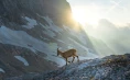 Altitude Activities - Enodnevni vzpon na Triglav (+oprema)