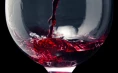 Kmetija Sanabor - Degustacija vin na krasu za dve osebi