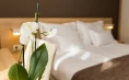 Drei Tage im Hotel Crikvenica **** mit einer verrückten Shisha-Bar-Party