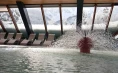 Zugang zum Schwimmbad und zu den Saunen sowie eine Partie Squash im Wellness Špik