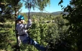 Adrenalinski poligon i zipline u zabavnom adrenalinskom parku
