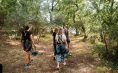 Erleben Sie Adrenalin durch die längste Meeres-Zipline in Kroatien