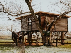 Ranch Jure&scaron; &ndash; A stay at the &Scaron;trkovo gnezdo tree house
