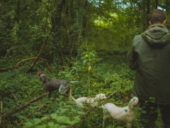 Karlić Tartufi &ndash; presentation, education and truffle hunting for 4 people