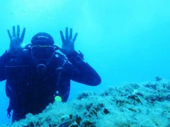 Tauchkurs für Anfänger OPEN WATER – PSS in Bol