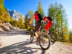 Life adventures &ndash; Mountain biking in the hills and forests around Bled