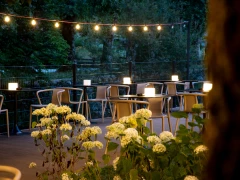 Sunrose 7 – meni u 4 slijeda