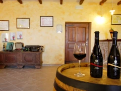 Tasting of Istrian wines with the Cattunar tradition