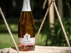 Degustacija vrhunskih vina uz kraški pršut i sir za četiri osobe