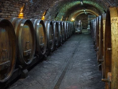 Baranjske specialitete z degustacijo 5 vrst vin v Vinariji Josić