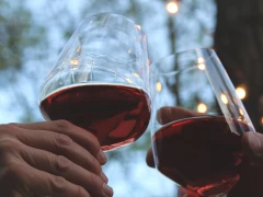 Restaurant 1906 – Tasting of two wines and a snack
