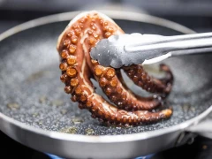 Restaurant Kogo – 4-course menu with wine pairing