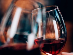 Vina Poljšak - Degustacija 7 vrsta vina uz platu pršuta i sira te 2x boce vina