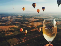 Tasting of unique selected wines high above the clouds