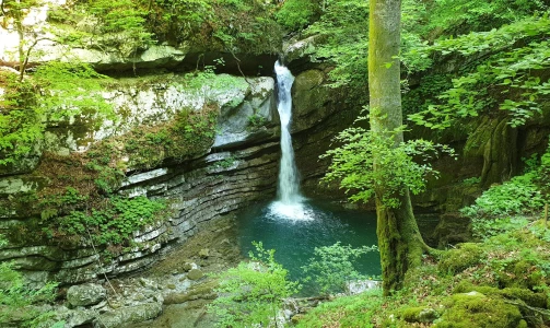 Pangea Adventures – Half-day adventure drive through the Posočje in a Willys Jeep