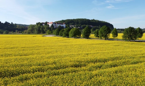 Pangea Adventures – Half-day adventure drive through the Posočje in a Willys Jeep