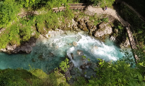 Pangea Adventures – Half-day adventure drive through the Posočje in a Willys Jeep