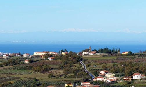 Okrepčevalnica Truške - Pokušina istrskih dobrot s pogledom na Tržaški zaliv