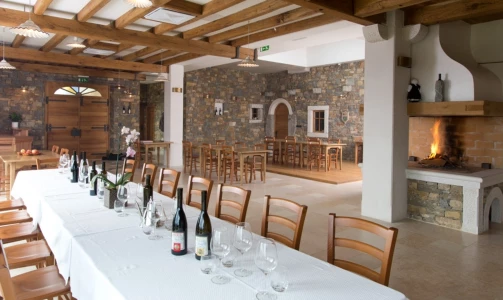 Rodica wine cellar - Tasting of 6 types of wine or 5 bottles