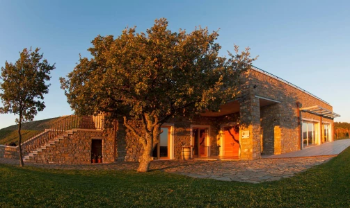 Rodica wine cellar - Tasting of 6 types of wine or 5 bottles
