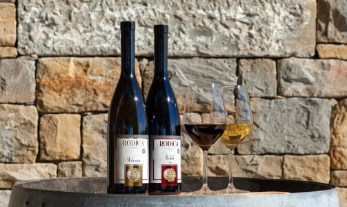 Rodica wine cellar - Tasting of 6 types of wine or 5 bottles