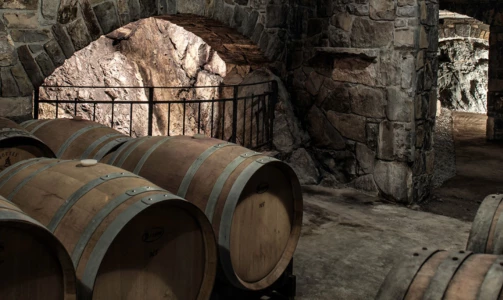 Vina Poljšak - Degustacija 10 vrsta vina uz tanjur pršuta i sira za 2 osobe