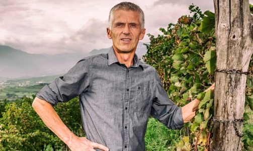 Vina Poljšak - Degustacija 10 vrsta vina uz tanjur pršuta i sira za 2 osobe