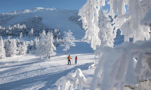 Hotel Krvavec – Overnight stay with breakfast for 2 people