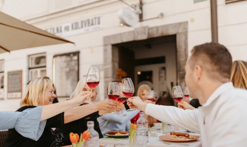 Wine Tasting Ljubljana - Certifikat za ambasadorja slovenskih vin s pokušino v Ljubljani