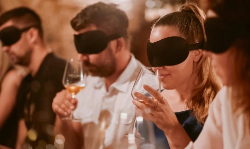 Wine Tasting Ljubljana - Certifikat za ambasadorja slovenskih vin s pokušino v Ljubljani