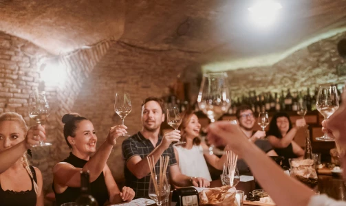 Wine Tasting Ljubljana - Certifikat za ambasadorja slovenskih vin s pokušino v Ljubljani