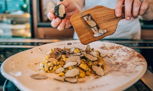 Karlić Tartufi – presentation, education and truffle hunting for 4 people