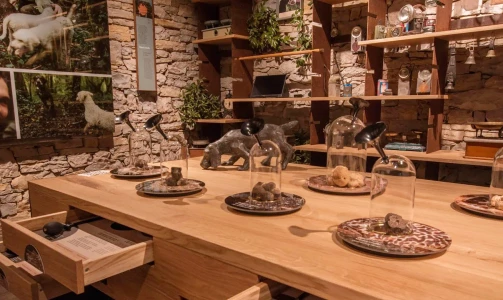 Karlić Tartufi – presentation, education and truffle hunting for 4 people