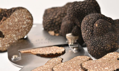 Karlić Tartufi – presentation, education and truffle hunting for 4 people