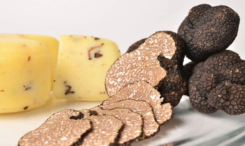 Karlić Tartufi – presentation, education and truffle hunting for 4 people